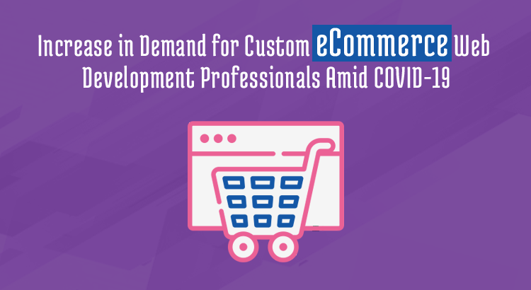 custom ecommerce web development