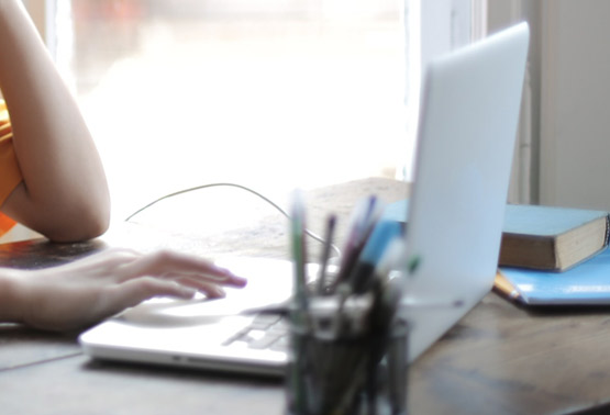 wordpress development company in india